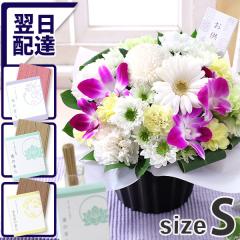 ~    ̉  14܂     G {  {̂܂AWZbgS