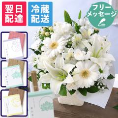 �N�[���֑Ή� ������ �� �������� �������̉� ������� ���� �� ���� �G�� �{ ���� �{�̂��܂����A�����W�������Z�b�gS