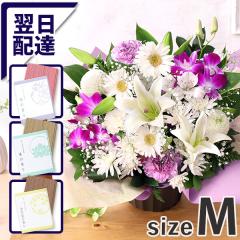 ~    ̉  14܂     G {  {̂܂AWZbgM