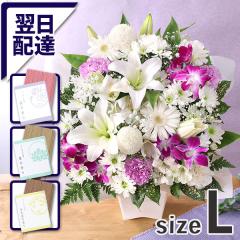 ~    ̉      G {  {̂܂AWZbgL