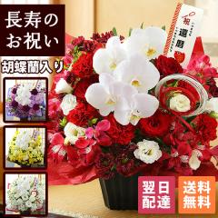 �I�ׂ� �t�����[�M�t�g ��� ���� �j �җ� �a���� �v���[���g ���؈�ࣁE����̂��j���A�����W  