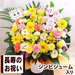  14܂ Iׂ t[Mtg   j җ a v[g ؈ࣁÊjAW  