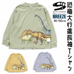 BREEZE 䌧كR{  TVc T AE^[   XJW hJ j̎q ̎q u[Y q LbY 