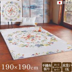 ���O�@190�~190cm ���{�� �t�����[�T�[�N���� �Ȃ߂炩�Ȕ������ �I�[���V�[�Y���Ή� �z�b�g�J�[�y�b�g�J�o�[�Ή� ����OK AVE2021