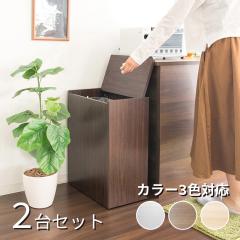 CEE-DB �ؖڒ��_�X�g�{�b�N�X �y2��Z�b�g�z�u���E��/�S3�F 45L �t�^�t �S�~�܂������Ȃ� ��45�~���s��26.5�~����61cm �p�[�e�B�N���{�[