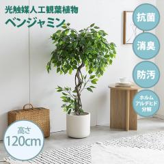 ���G�}�l�H�ϗt�A�� fake green �x���W���~�� (��)��70cm�~���s60cm�~����120cm �Ɩ����������邱�Ƃŏ��L�E�R�ہE�h���E�z�����A���f�q