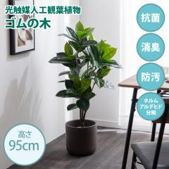 ���G�}�l�H�ϗt�A�� fake green �S���̖� (��)��50cm�~���s50cm�~����95cm �Ɩ����������邱�Ƃŏ��L�E�R�ہE�h���E�z�����A���f�q�h����