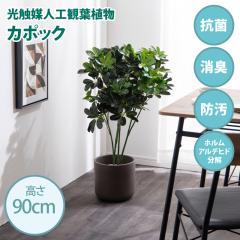 ���G�}�l�H�ϗt�A�� fake green �J�|�b�N (��)��40cm�~���s40cm�~����90cm �Ɩ����������邱�Ƃŏ��L�E�R�ہE�h���E�z�����A���f�q�h����