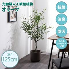 ���G�}�l�H�ϗt�A�� fake green �I���[�u�@(��)��60cm�~���s60cm�~����125cm �Ɩ����������邱�Ƃŏ��L�E�R�ہE�h���E�z�����A���f�q�h��