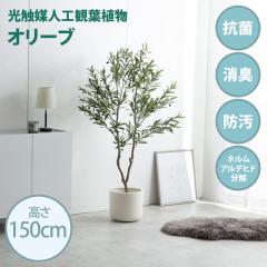 ���G�}�l�H�ϗt�A�� fake green �I���[�u�@(��)��55cm�~���s45cm�~����150cm �Ɩ����������邱�Ƃŏ��L�E�R�ہE�h���E�z�����A���f�q�h��