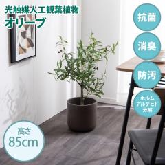 ���G�}�l�H�ϗt�A�� fake green �I���[�u�@(��)��35cm�~���s35cm�~����85cm �Ɩ����������邱�Ƃŏ��L�E�R�ہE�h���E�z�����A���f�q�h��