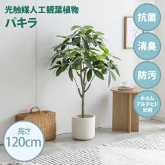 ���G�}�l�H�ϗt�A�� fake green �p�L�� (��)��60cm�~���s50cm�~����120cm �Ɩ����������邱�Ƃŏ��L�E�R�ہE�h���E�z�����A���f�q�h����