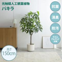 ���G�}�l�H�ϗt�A�� fake green �p�L�� (��)��65cm�~���s45cm�~����150cm �Ɩ����������邱�Ƃŏ��L�E�R�ہE�h���E�z�����A���f�q�h����