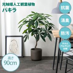 ���G�}�l�H�ϗt�A�� fake green �p�L�� (��)��50cm�~���s40cm�~����90cm �Ɩ����������邱�Ƃŏ��L�E�R�ہE�h���E�z�����A���f�q�h������