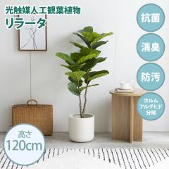 ���G�}�l�H�ϗt�A�� fake green �����[�^ (��)��80cm�~���s48cm�~����120cm �Ɩ����������邱�Ƃŏ��L�E�R�ہE�h���E�z�����A���f�q�h��