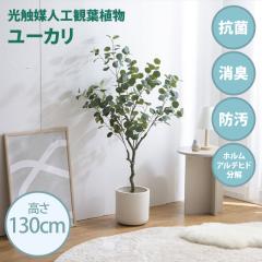 ���G�}�l�H�ϗt�A�� fake green ���[�J�� (��)��80cm�~���s50cm�~����130cm �Ɩ����������邱�Ƃŏ��L�E�R�ہE�h���E�z�����A���f�q�h��