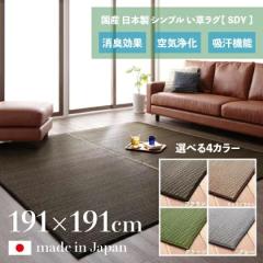  SDY ���Y �������O ��191 ���s191cm �􃉃O �ă��O �����J�[�y�b�g ���{�� �y�� ���h�~ �h�L �Ђ��� �a���_�� ������� �C�� �^�^�~ 