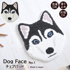 �h�b�O�t�F�C�X �`�F�A�p�b�h No.1 ( �n�X�L�[�j 12��� ���� �� �C�k����@�\ �h�_�j ����~�� ���g�Ή� ���փ}�b�g�`�F�A�}�b�g 