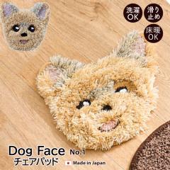 �h�b�O�t�F�C�X �`�F�A�p�b�h No.1 ( ���[�L�[�j 12��� ���� �� �C�k����@�\ �h�_�j ����~�� ���g�Ή� ���փ}�b�g�`�F�A�}�b�g 