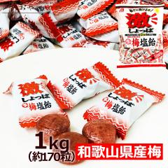 �����Y���� ��������ϐ��~���� �a�̎R���Y�~���g�p 1kg �i� ��170���j �M���Ǒ΍� �Ɩ��p