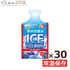 �ԕ䉻�� �M���΍��� �A�C�X�X�����[ ���C�` 90g�~30�� �M���Ǒ΍�