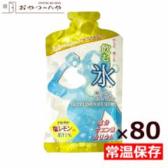 ޕX Salty Lemon ACXX[ 1P[X 80 