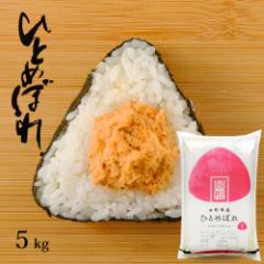 令和6年 米 お米 ひとめぼれ 5kg 送料無料 (無洗米 白米 玄米) 山形県産 5キロ 産地直送 ギフト お試しサイズ 食べ比べ ※一部地域は別途