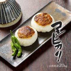 �V�� �ߘa7�N �� ���� �R�V�q�J�� 20kg (5kg��4��) �������� (������ ���� ����) �R�`���Y 20�L�� �Y�n���� �M�t�g ���ꕔ�n��͕ʓr����