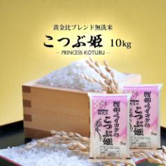 無洗米 10kg (5kg×2) 送料無料 (地域限定) こつぶ姫 安い 10キロ 山形県産 米 お米