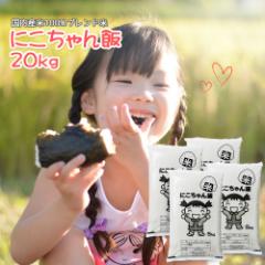 �� ���� 20kg (5kg�~4) �������� (�n�����) �ɂ������� ���� 20�L�� �����Y �u�����h�� ����