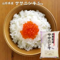 �V�� �ߘa7�N �� ���� �T�T�j�V�L 5kg �������� (������ ���� ����) �R�`���Y 5�L�� �Y�n���� �M�t�g ���ꕔ�n��͕ʓr�����ǉ�