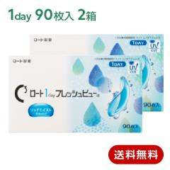 �R���^�N�g�����Y �����f�[ ���[�g1day�t���b�V���r���[���b�`���C�X�g(90���p�b�N) 2���Z�b�g(���E�e1��) rohto