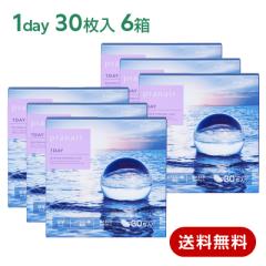 [�߲��10%] �R���^�N�g�����Y �����f�[ �v���l�A�����f�[�i30�����j6���Z�b�g(���E�e3��) pranair 1day