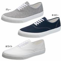 2E ATqV[Y Y fB[X ATq503 Xj[J[ V[Y RC [XAbv JWA Vv  asahi shoes K