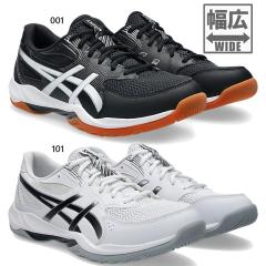 MIZUNO（ミズノ）ウエーブライトニング エリート MID（V1GA2605