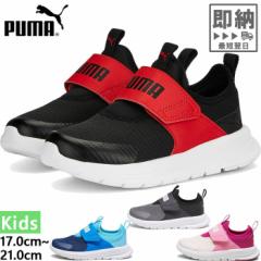 v[} WjA LbY G{u Xb| Xj[J[ V[Y ^C [Jbg ʊw ʉ o  PUMA 389135