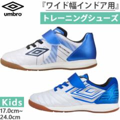 ワイド幅 アンブロ ジュニア キッズ 1本ベルト アクセレイタ- SB JR WIDE IN インドア用 トレーニングシューズ サッカーシューズ 屋内用 