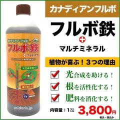 �J�i�f�B�A���t���{�S�v���X�}���`�~�l����1kg �����엿 �A���������i�� �t�� �t�� �y����� �K�[�f�j���O �� ��� �앨 �엿