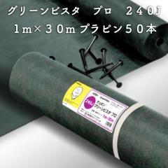 �O���[���r�X�^ �v�� �h���E�������V�[�g240�O���[�� ���̓^�C�v 1���~30m�i�v���s��50�{�t�j�����V�[�g
