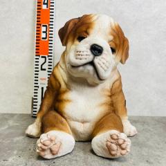 ���킢�� �� �u�� �����肷��u���h�b�O �� ���� ������� ���� ���蕨 �C���e���A ���� �K�[�f���I�[�i�����g