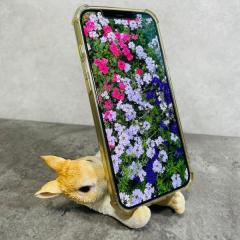 �X�}�z�X�^���h ������ �e ��� �A�j�}�� �v���[���g�M�t�g �u�� ���� ������� ���� �z���_�[ �ʐ^���� ���� ���A��