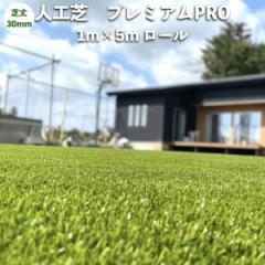�����l�H�� pavo �v���~�A��PRO ��1m�~����5m���[�� �ŏ�30mm �O���[���J���[ �� �x�����_ �e���X �K�[�f��
