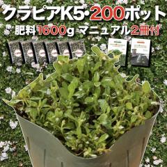 �y���r���[���T����z �N���s�A K5 �����i�� 9cm�|�b�g�c  200�� �L�@����ꔭ�ʍؔ엿1600g�Ɗ��S�A�̓}�j���A���t�� �C���_���\�E����