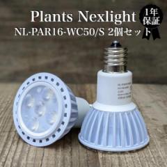 PlantsNEXLIGHT 2Zbg ϗtAp琬Cg LEDƖ A  nl-par16-we50s