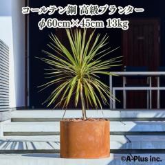 �����A�ؔ� ��^ �ꖳ���^ Patina ���C�Y�h�E���E���h�v�����^�[600 60cm �ی^ �p�e�B�i �R�[���e���| ������� ���O �ϗt�A�� �����A��