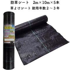 �h���V�[�g 2m�~10m 5�{�Z�b�g �ϋv�N��2�N����3�N ���悯�V�[�g �R�ۍ� UV�ܓ��� �l�H�� ���� �G���΍� ���z�����d �� �}���`���O �_�� 