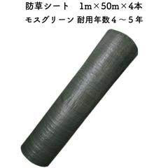 �h���V�[�g 1m�~50m 4�{�Z�b�g �ϋv�N��4�N����5�N ���X�O���[�� �R�ۍ� UV�ܓ��� �l�H�ŉ� �����V�[�g �G���΍� �_�Ǝ��� ���z�����d ��