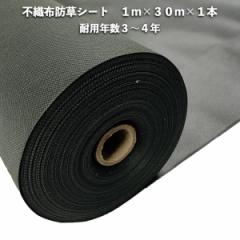 �s�D�z�h���V�[�g 1m�~30m 1�{ �ϋv�N��3�N����4�N UV�ܓ��� �l�H�� ������ �}���`���O ���z�����d�� �� �G������