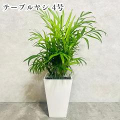 �ϗt�A�� �e�[�u�����V 4���� �������Ȏ����C���e���A �`�����h���A �����j�� �V�z�j�� ���� ���r���O ���� �x�����_