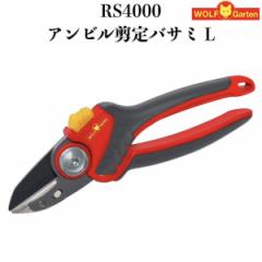 ����΂��� RS4000 �E���t�K���e�� �A���r���^�C�v �X�`�[�����n �h�C�c�u�����h �}���� �~�� ���} ��� ���| �ϗt�A��